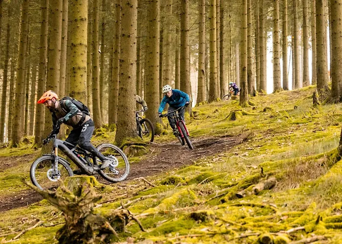 Deluxe For 5 - Sauna & Pool - Free Parking Lejlighed *